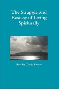 The Struggle and Ecstasy of Spiritual Living by David Fekete